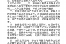 赵县为什么选择专业追讨公司来处理您的债务纠纷？